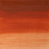 Winsor & Newton Artists' Oil Colour 37ml - Transparent Red Ochre (647)