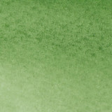 Winsor & Newton Water Colour Markers - Hookers Green (311)