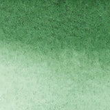 Winsor & Newton Water Colour Markers - Hookers Green Dark (312)