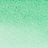 Winsor & Newton Water Colour Markers - Phthalo Green (Yellow Shade) (521)