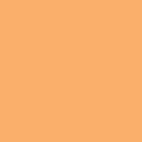 Winsor & Newton ProMarkers - Apricot (O538)