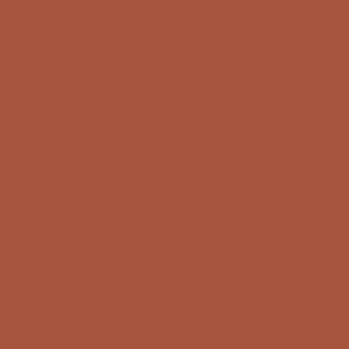 Winsor & Newton ProMarkers - Burnt Umber (R646)