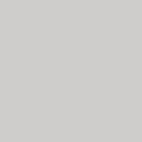 Winsor & Newton ProMarkers - Cool Grey 3 (Cg3)