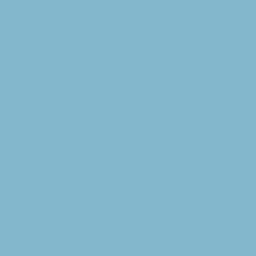 Winsor & Newton ProMarkers - Denim Blue (C917)