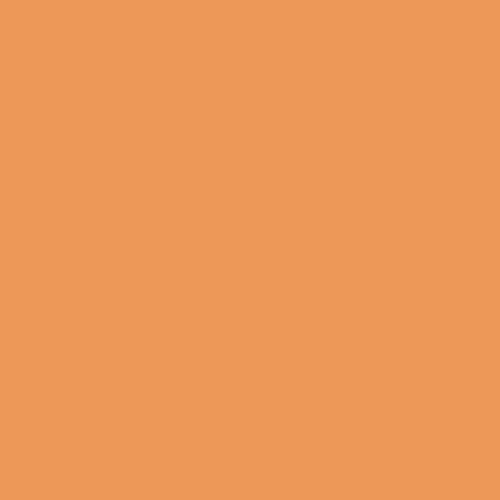Winsor & Newton ProMarkers - Ginger (O136)