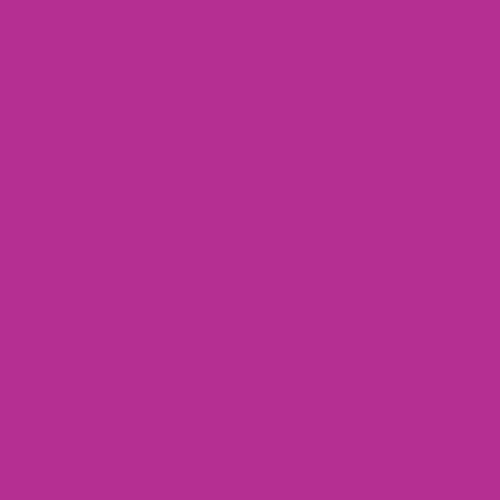 Winsor & Newton ProMarkers - Mulberry (V865)
