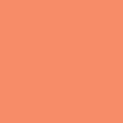 Winsor & Newton ProMarkers - Peach (O148)