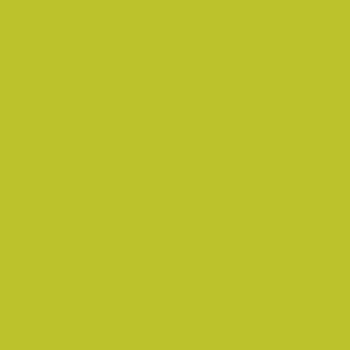 Winsor & Newton ProMarkers - Pear Green (Y635)