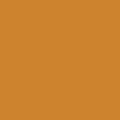 Winsor & Newton ProMarkers - Raw Sienna (O646)