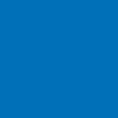 Winsor & Newton ProMarkers - True Blue (B555)