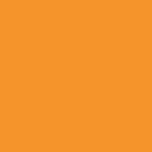 Winsor & Newton BrushMarkers - Amber (O567)