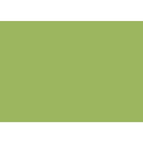 Liviano Heavy Colour Card - 300gsm A3 (Grass)- Pack of 5