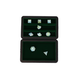 LPG Essentials Dice Case Slate / Lich green
