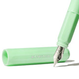 Ferris Wheel Press Fountain Pen Carousel Lost in Leaves Fine