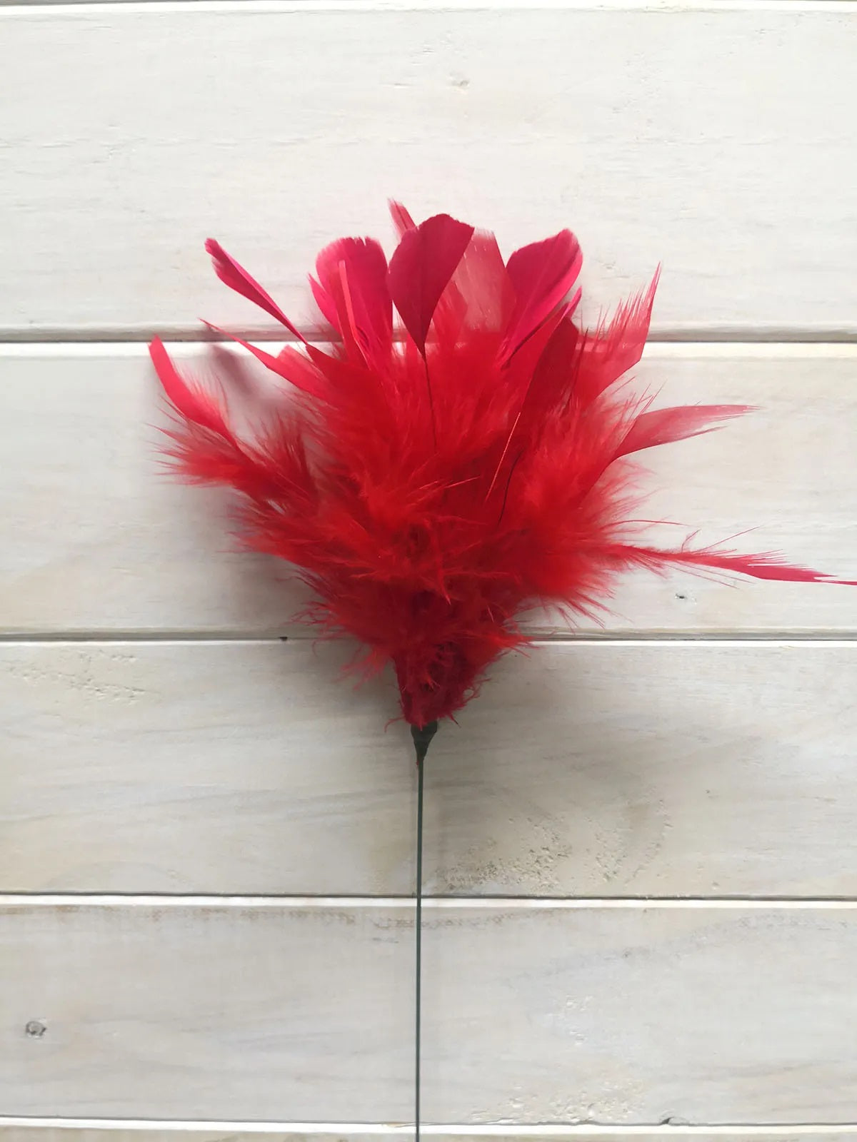 Beauty Fluffy Feather Spray x 12