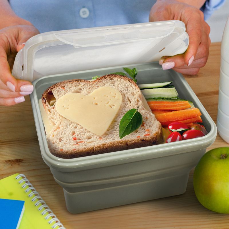 Lunch Box - Collapsible Grey (Set of 6)