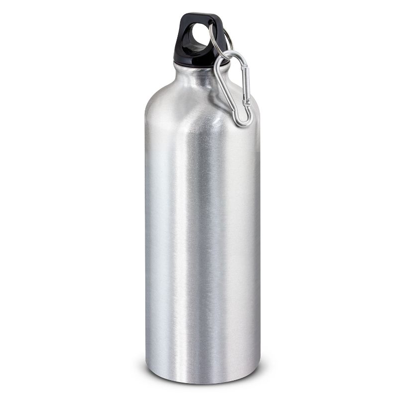 Intrepid Bottle - Silver 800ml (6 Units)