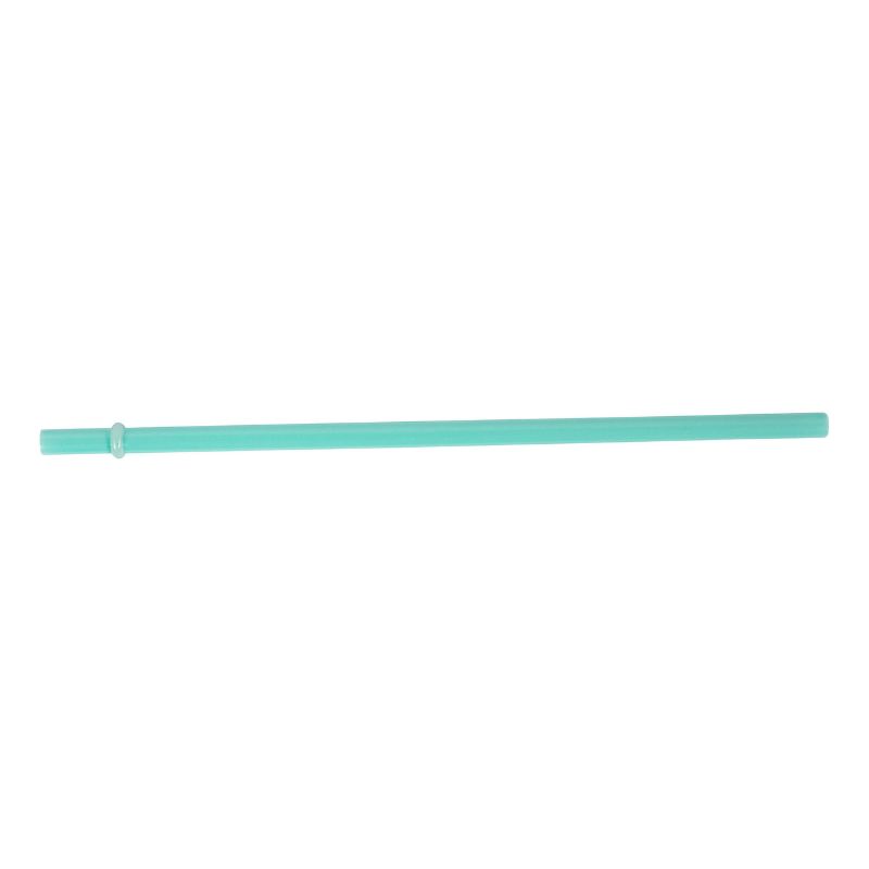 Avanti - Glass Smoothie Straw - Mint
