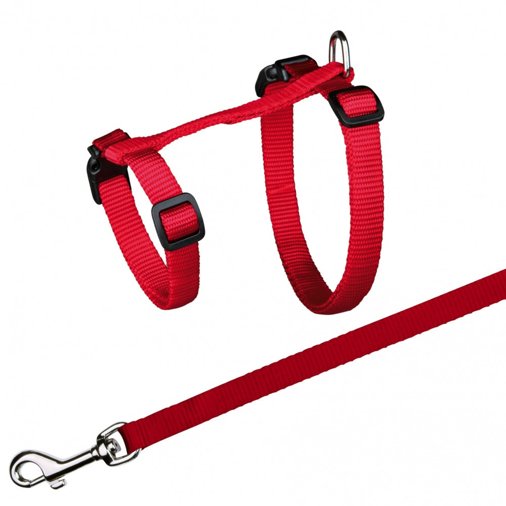 Cat Harness & Lead - Cat