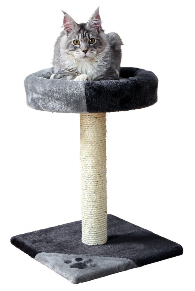 Cat Tarifa Scratching Post
