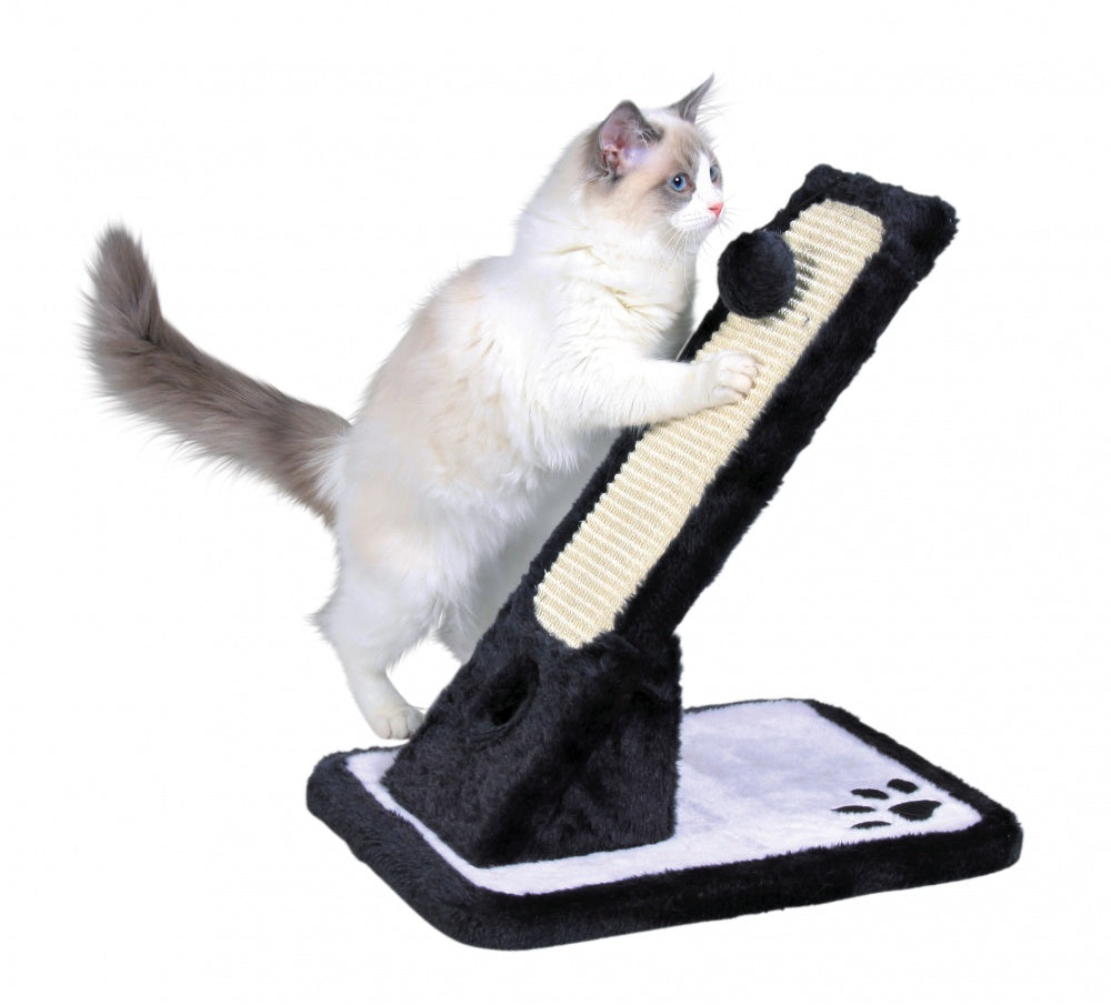 Cat Scratching Board