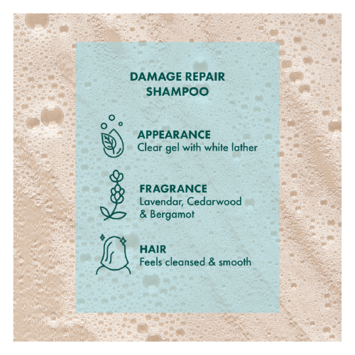 SHAMPOO - AKIN DAMAGE REPAIR (375ml) x 3 Bottles