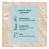SHAMPOO - AKIN DAMAGE REPAIR (375ml) x 3 Bottles