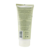 Durance - Super Nourishing Body Cream with Olive Leaf Extract  - 200ml/6.7oz