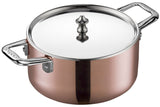 Scanpan  Maitre' D Dutch Oven 20cm/3.5L