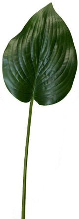 Leaf Spray / Green