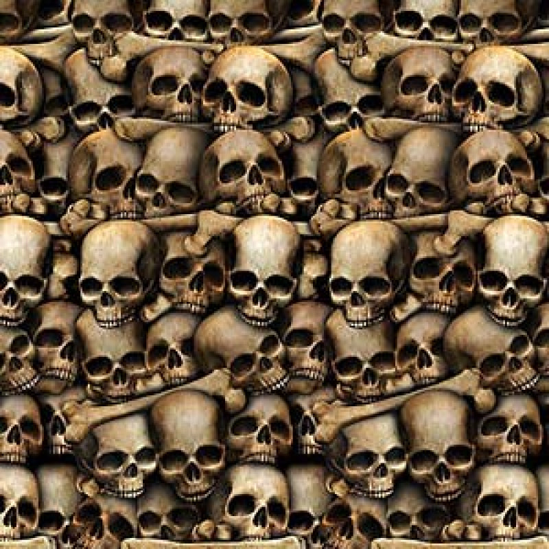 Backdrop featuring eerie skulls and catacomb details, perfect for Halloween decor and haunted events. 1.2m x 9.1m size.