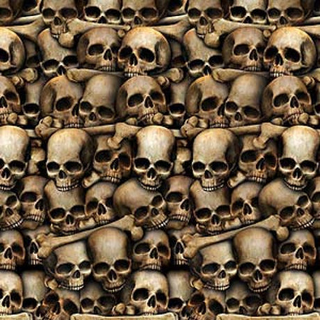 Backdrop featuring eerie skulls and catacomb details, perfect for Halloween decor and haunted events. 1.2m x 9.1m size.