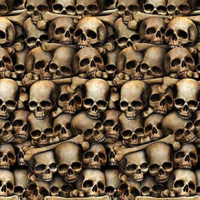 Backdrop featuring eerie skulls and catacomb details, perfect for Halloween decor and haunted events. 1.2m x 9.1m size.