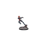 Marvel: Crisis Protocol  - Magneto & Toad