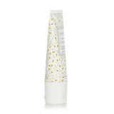 Fresh - Citron De Vigne Moisturizing Hand Cream  - 30ml/1oz