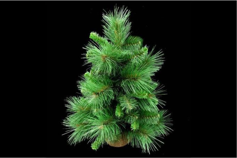 Artificial Tree - Mixed Pine w/Burlap (18")