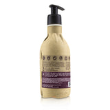 Seed Phytonutrients - Color Care Conditioner (For Color-Treated Hair)  - 250ml/8