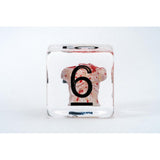 Fanroll: The Walking Dead Dismembered Zombie Resin Poly Dice Set