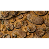 Gamers Grass - Battle Ready Bases - Deserts of Maahl - Oval 120mm (x1)