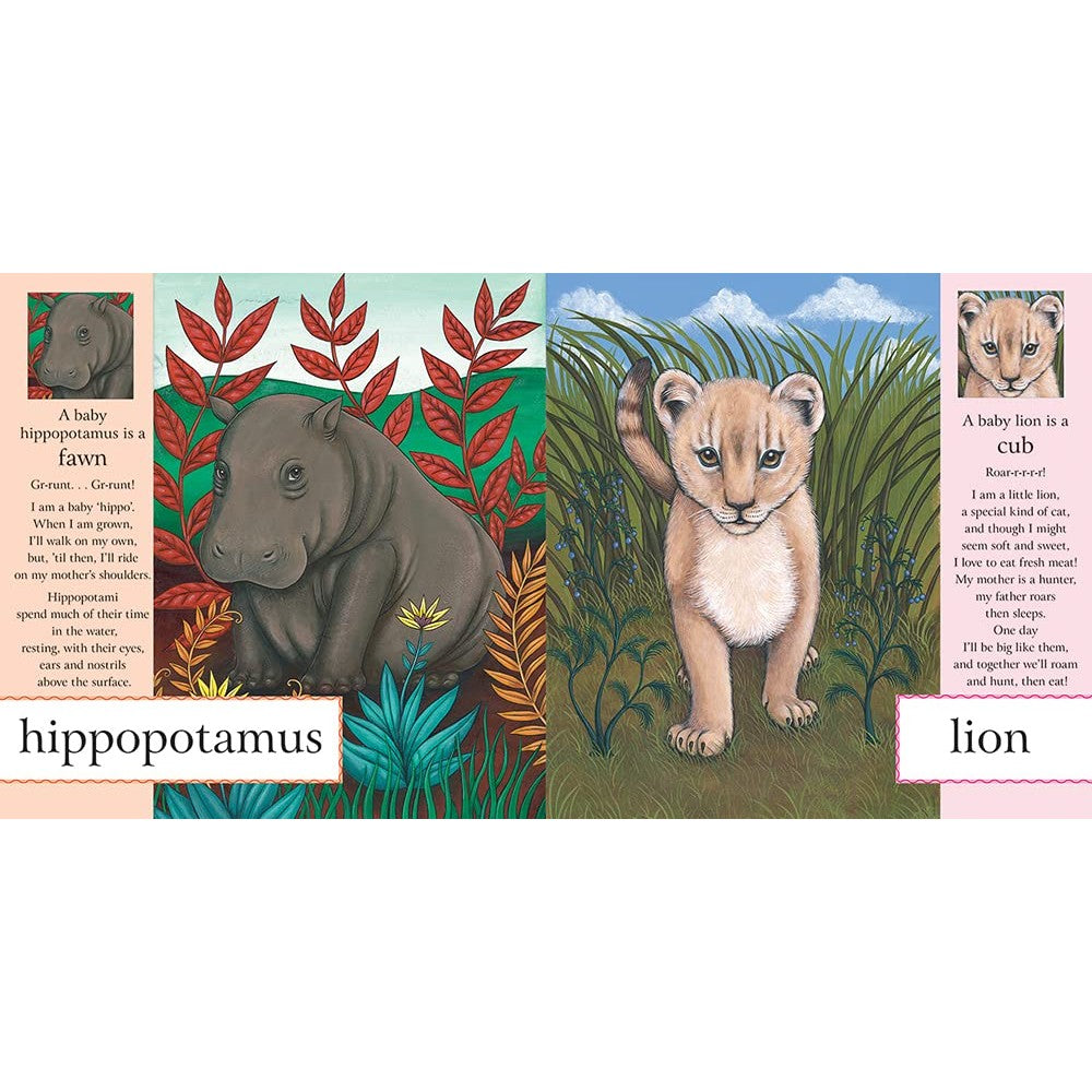 First Book Of Baby Animals