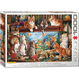 Eurographics - Cats By Aquarium 1000 Piece - Jigsaw Puzzle