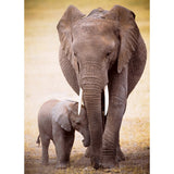 Eurographics - Elephant & Baby 1000 Piece - Jigsaw Puzzle