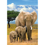 Puzzle - Eurographics - Elephants 250pc
