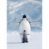 Eurographics - Penguin & Chick 1000 Piece - Jigsaw Puzzle