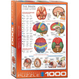 Eurographics - The Brain 1000 Piece - Jigsaw Puzzle