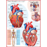 Eurographics - The Heart 1000 Piece - Jigsaw Puzzle