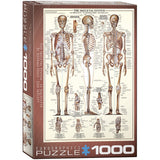 Eurographics - The Skeletal System 1000 Piece - Jigsaw Puzzle