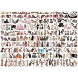 Eurographics - World Of Cats 1000 Piece - Jigsaw Puzzle