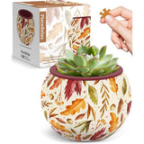 Puzzle - 3D - Flowerpot - Dancing Leaves