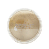 DermaQuest - DermaMinerals Buildable Coverage Loose Mineral Powder SPF 20 - # 4N